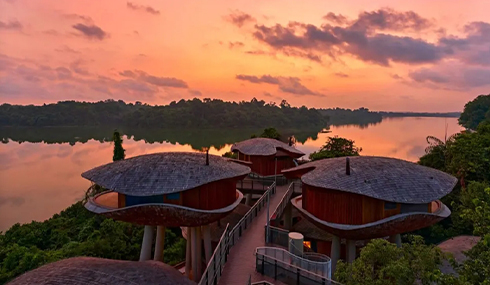 /material-alias/theme/starlux/images/Kulsin/Mandai Rainforest Resort by Banyan Tree.jpg